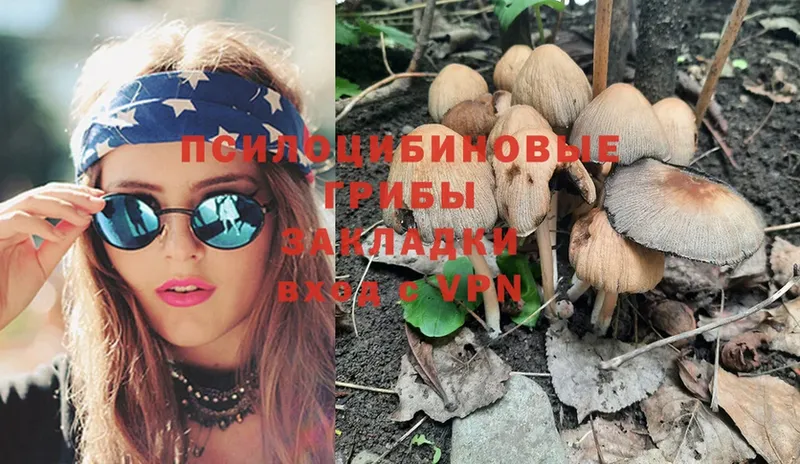 Галлюциногенные грибы Psilocybe  omg как зайти  Островной 